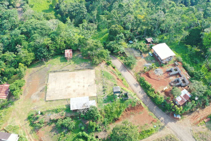 dji