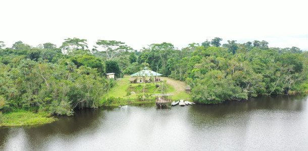 dji