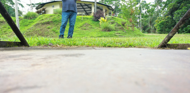 dji
