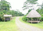 dji